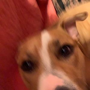 Meet your Posher, Wendy